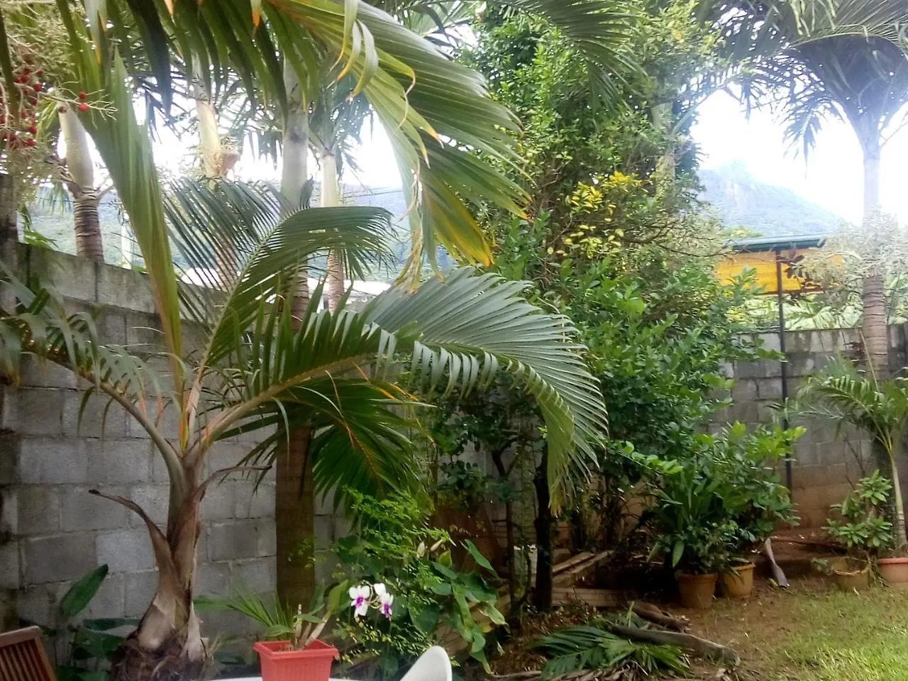 Corner Bay Apartments Beau Vallon,Mahe Victoria